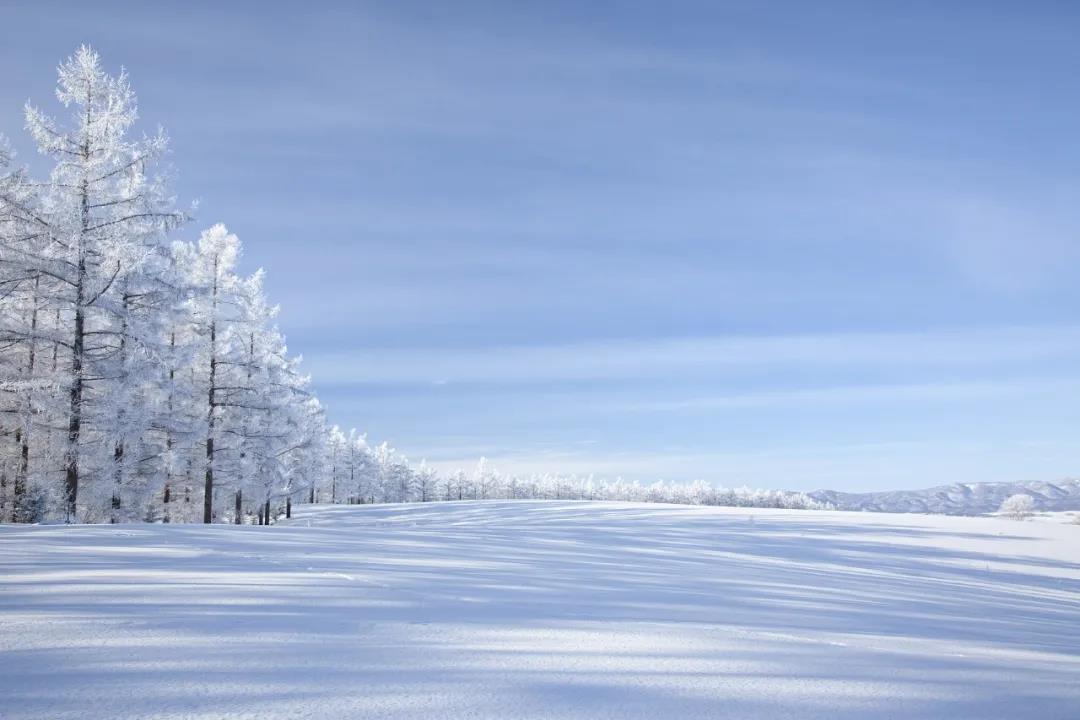 今日大雪！品讀雪中意境！